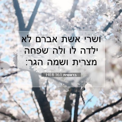 Picture 07 - בראשית 16:1 HEB - ושרי אשת אברם לא ילדה לו - Bible Verse Picture