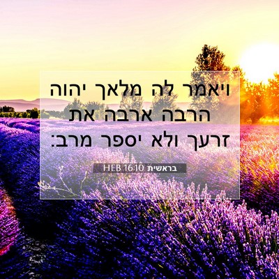 Picture 07 - בראשית 16:10 HEB - ויאמר לה מלאך יהוה הרבה - Bible Verse Picture