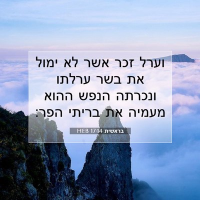 Picture 07 - בראשית 17:14 HEB - וערל זכר אשר לא ימול את בשר - Bible Verse Picture
