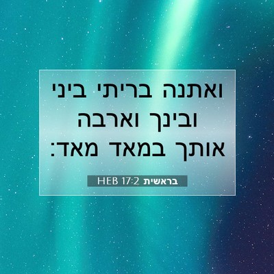 Picture 07 - בראשית 17:2 HEB - ואתנה בריתי ביני ובינך - Bible Verse Picture