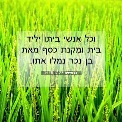 Picture 07 - בראשית 17:27 HEB - וכל אנשי ביתו יליד בית - Bible Verse Picture