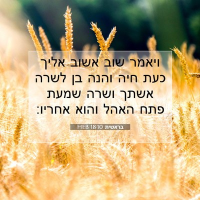 Picture 07 - בראשית 18:10 HEB - ויאמר שוב אשוב אליך כעת חיה - Bible Verse Picture