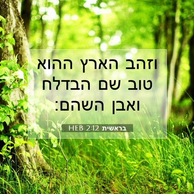 Picture 07 - בראשית 2:12 HEB - וזהב הארץ ההוא טוב שם הבדלח - Bible Verse Picture