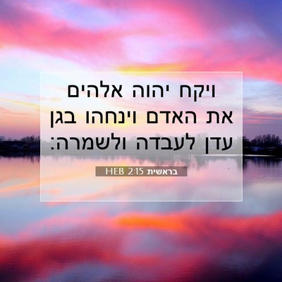 Picture 07 - בראשית 2:15 HEB - ויקח יהוה אלהים את האדם - Bible Verse Picture