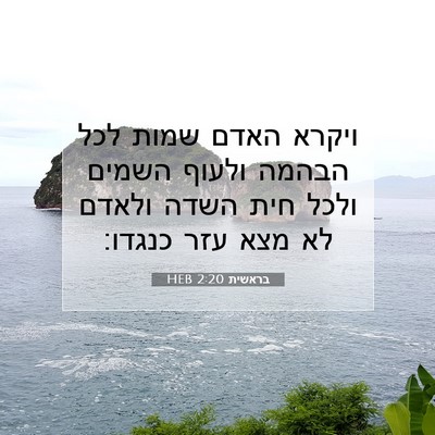 Picture 07 - בראשית 2:20 HEB - ויקרא האדם שמות לכל הבהמה - Bible Verse Picture