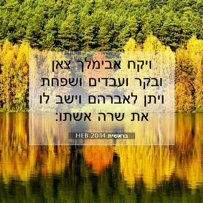 Picture 07 - בראשית 20:14 HEB - ויקח אבימלך צאן ובקר - Bible Verse Picture