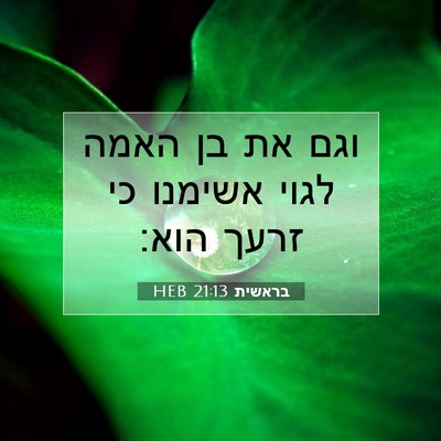 Picture 07 - בראשית 21:13 HEB - וגם את בן האמה לגוי אשימנו - Bible Verse Picture