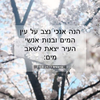 Picture 07 - בראשית 24:13 HEB - הנה אנכי נצב על עין המים - Bible Verse Picture
