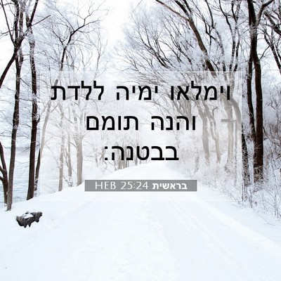 Picture 07 - בראשית 25:24 HEB - וימלאו ימיה ללדת והנה תומם - Bible Verse Picture