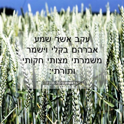 Picture 07 - בראשית 26:5 HEB - עקב אשר שמע אברהם בקלי - Bible Verse Picture