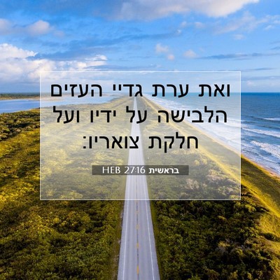 Picture 07 - בראשית 27:16 HEB - ואת ערת גדיי העזים הלבישה - Bible Verse Picture