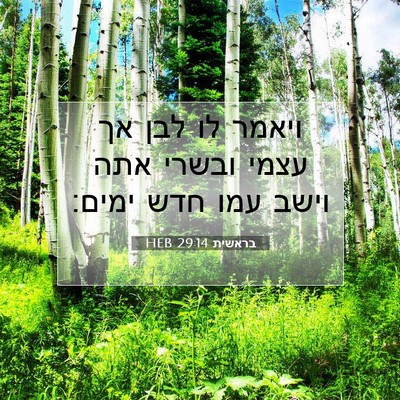 Picture 07 - בראשית 29:14 HEB - ויאמר לו לבן אך עצמי ובשרי - Bible Verse Picture