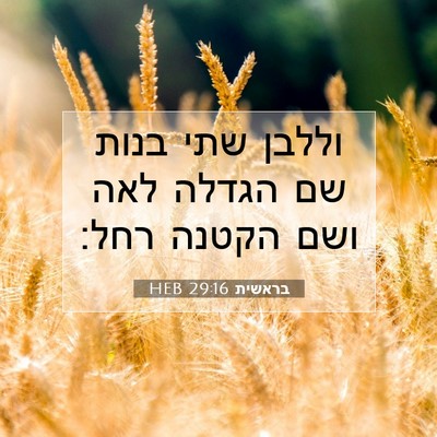Picture 07 - בראשית 29:16 HEB - וללבן שתי בנות שם הגדלה לאה - Bible Verse Picture
