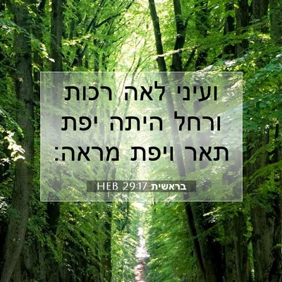 Picture 07 - בראשית 29:17 HEB - ועיני לאה רכות ורחל היתה - Bible Verse Picture