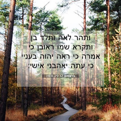 Picture 07 - בראשית 29:32 HEB - ותהר לאה ותלד בן ותקרא שמו - Bible Verse Picture