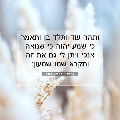 Picture 07 - בראשית 29:33 HEB - ותהר עוד ותלד בן ותאמר כי - Bible Verse Picture