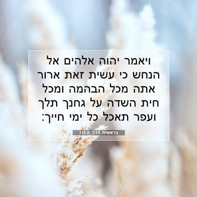 Picture 07 - בראשית 3:14 HEB - ויאמר יהוה אלהים אל הנחש כי - Bible Verse Picture