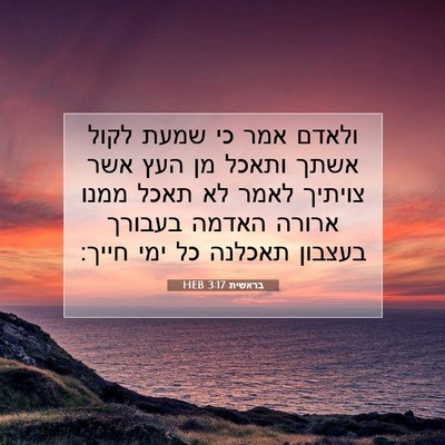 Picture 07 - בראשית 3:17 HEB - ולאדם אמר כי שמעת לקול אשתך - Bible Verse Picture