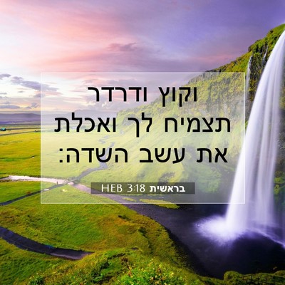 Picture 07 - בראשית 3:18 HEB - וקוץ ודרדר תצמיח לך ואכלת - Bible Verse Picture