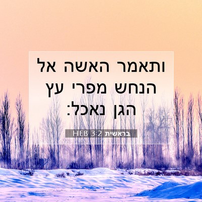 Picture 07 - בראשית 3:2 HEB - ותאמר האשה אל הנחש מפרי עץ - Bible Verse Picture