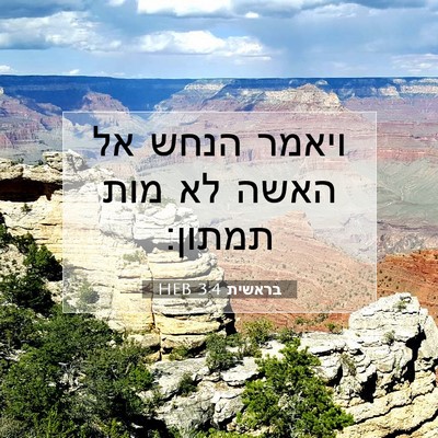 Picture 07 - בראשית 3:4 HEB - ויאמר הנחש אל האשה לא מות - Bible Verse Picture