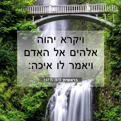 Picture 07 - בראשית 3:9 HEB - ויקרא יהוה אלהים אל האדם - Bible Verse Picture