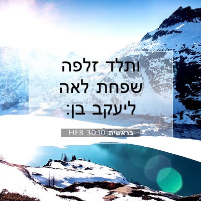 Picture 07 - בראשית 30:10 HEB - ותלד זלפה שפחת לאה ליעקב - Bible Verse Picture