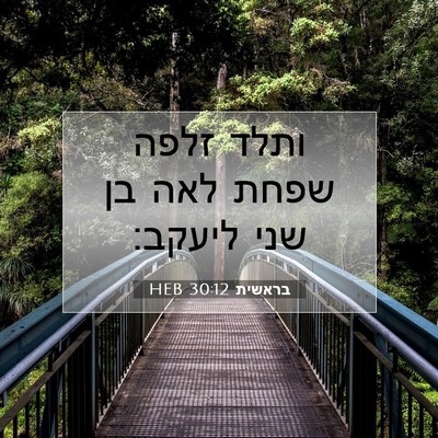 Picture 07 - בראשית 30:12 HEB - ותלד זלפה שפחת לאה בן שני - Bible Verse Picture