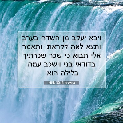 Picture 07 - בראשית 30:16 HEB - ויבא יעקב מן השדה בערב ותצא - Bible Verse Picture