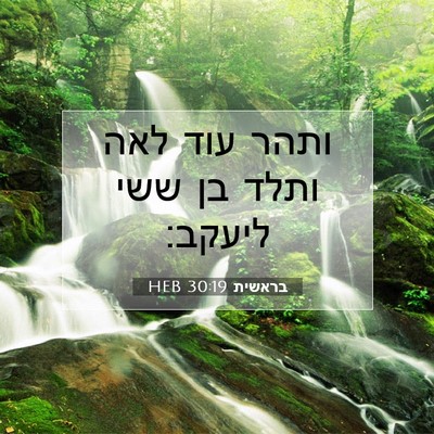 Picture 07 - בראשית 30:19 HEB - ותהר עוד לאה ותלד בן ששי - Bible Verse Picture