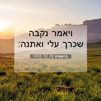 Picture 07 - בראשית 30:28 HEB - ויאמר נקבה שכרך עלי - Bible Verse Picture