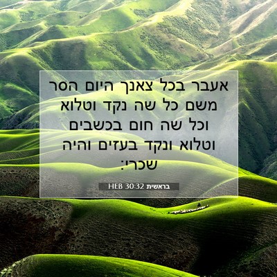 Picture 07 - בראשית 30:32 HEB - אעבר בכל צאנך היום הסר משם - Bible Verse Picture