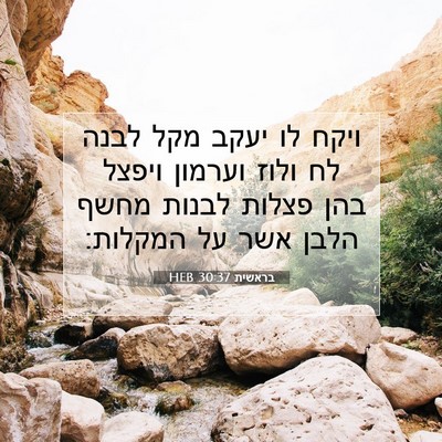 Picture 07 - בראשית 30:37 HEB - ויקח לו יעקב מקל לבנה לח - Bible Verse Picture