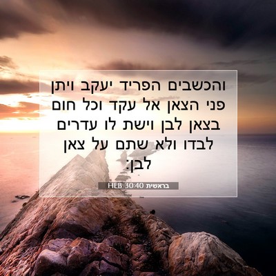 Picture 07 - בראשית 30:40 HEB - והכשבים הפריד יעקב ויתן - Bible Verse Picture