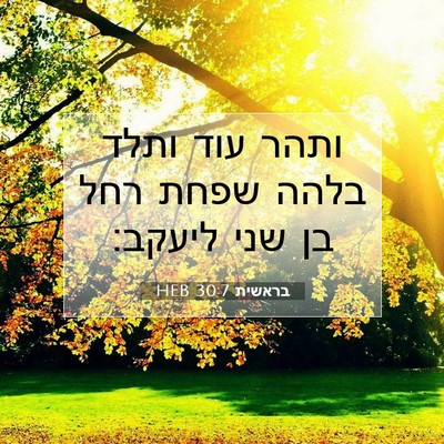 Picture 07 - בראשית 30:7 HEB - ותהר עוד ותלד בלהה שפחת רחל - Bible Verse Picture