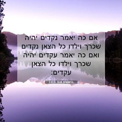 Picture 07 - בראשית 31:8 HEB - אם כה יאמר נקדים יהיה שכרך - Bible Verse Picture