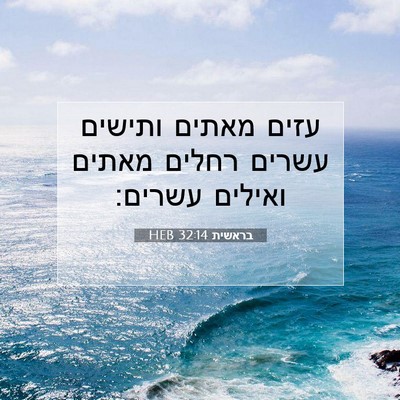 Picture 07 - בראשית 32:14 HEB - עזים מאתים ותישים עשרים - Bible Verse Picture