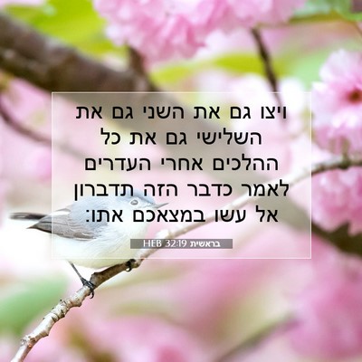 Picture 07 - בראשית 32:19 HEB - ויצו גם את השני גם את - Bible Verse Picture