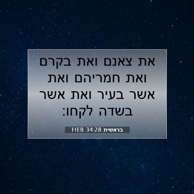 Picture 07 - בראשית 34:28 HEB - את צאנם ואת בקרם ואת חמריהם - Bible Verse Picture
