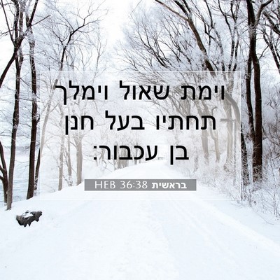 Picture 07 - בראשית 36:38 HEB - וימת שאול וימלך תחתיו בעל - Bible Verse Picture