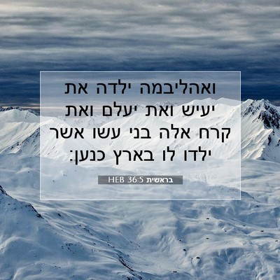 Picture 07 - בראשית 36:5 HEB - ואהליבמה ילדה את יעיש ואת - Bible Verse Picture