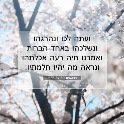 Picture 07 - בראשית 37:20 HEB - ועתה לכו ונהרגהו ונשלכהו - Bible Verse Picture