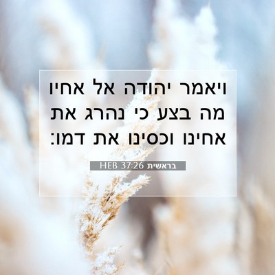 Picture 07 - בראשית 37:26 HEB - ויאמר יהודה אל אחיו מה בצע - Bible Verse Picture
