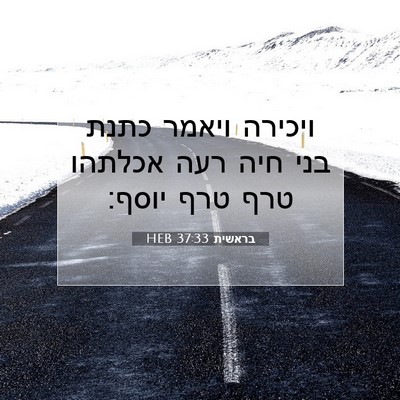 Picture 07 - בראשית 37:33 HEB - ויכירה ויאמר כתנת בני חיה - Bible Verse Picture