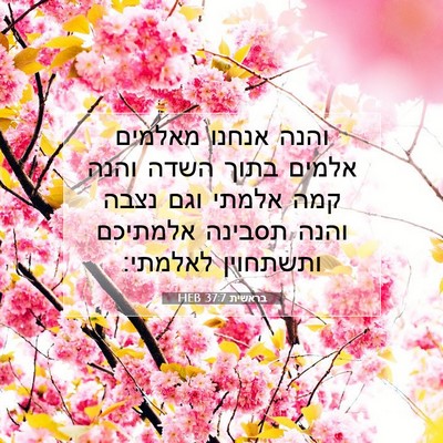 Picture 07 - בראשית 37:7 HEB - והנה אנחנו מאלמים אלמים - Bible Verse Picture