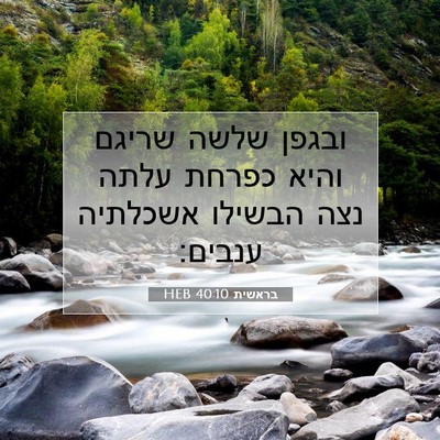 Picture 07 - בראשית 40:10 HEB - ובגפן שלשה שריגם והיא - Bible Verse Picture