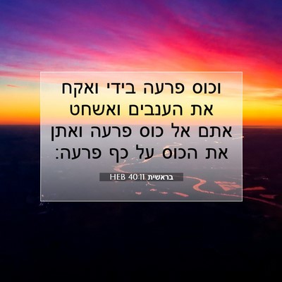 Picture 07 - בראשית 40:11 HEB - וכוס פרעה בידי ואקח את - Bible Verse Picture