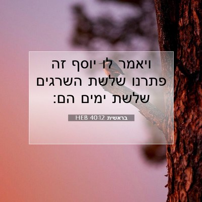Picture 07 - בראשית 40:12 HEB - ויאמר לו יוסף זה פתרנו שלשת - Bible Verse Picture