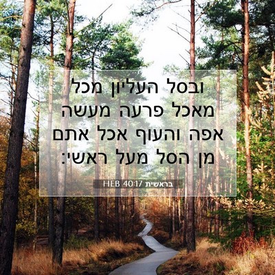 Picture 07 - בראשית 40:17 HEB - ובסל העליון מכל מאכל פרעה - Bible Verse Picture