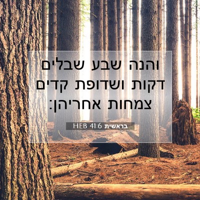 Picture 07 - בראשית 41:6 HEB - והנה שבע שבלים דקות ושדופת - Bible Verse Picture